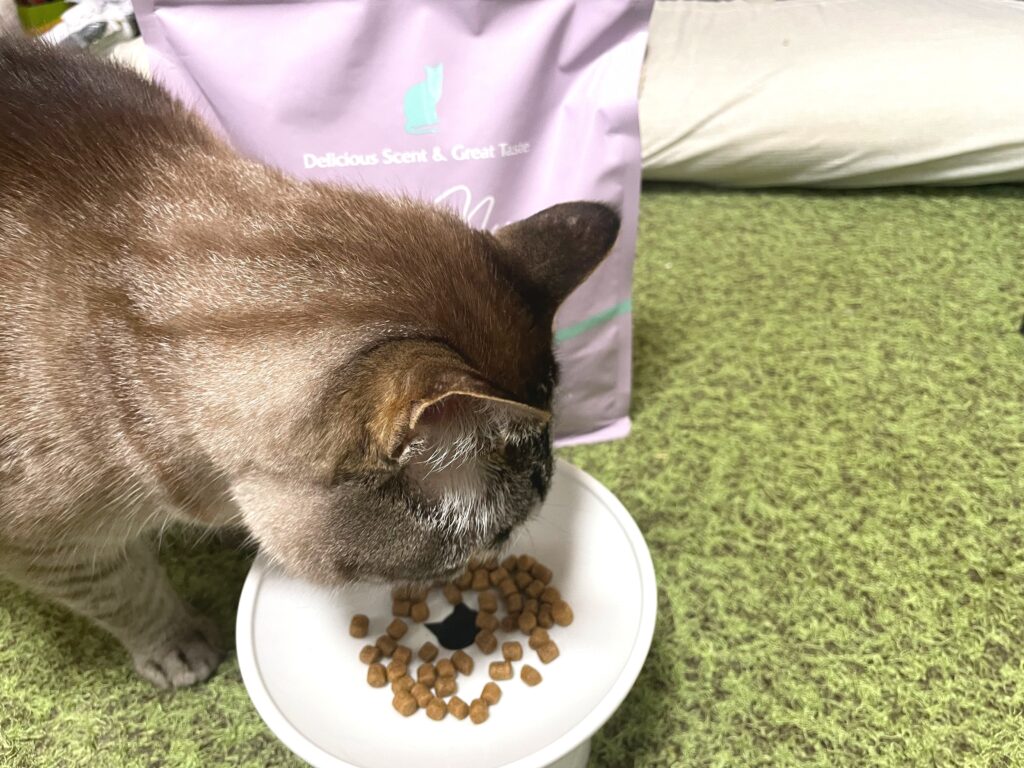 モグニャン